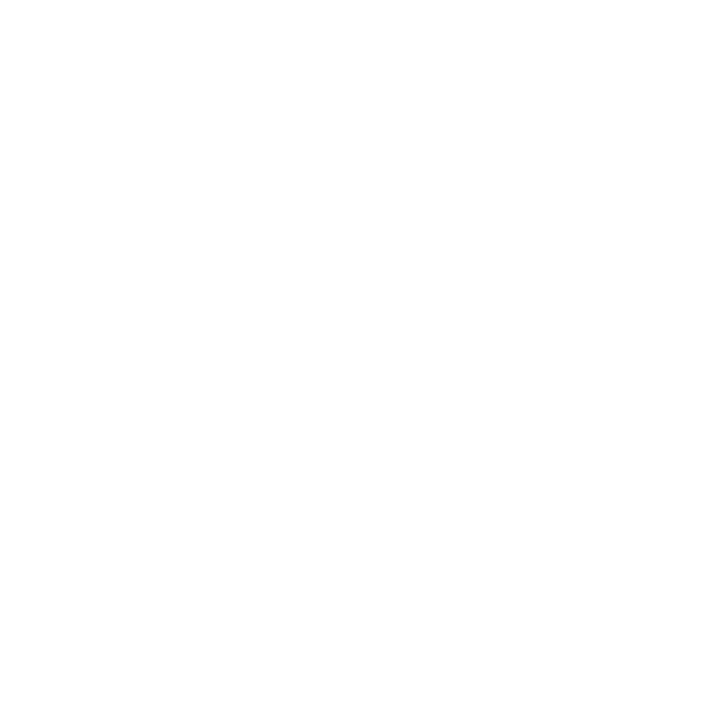 icona gestionale euristica