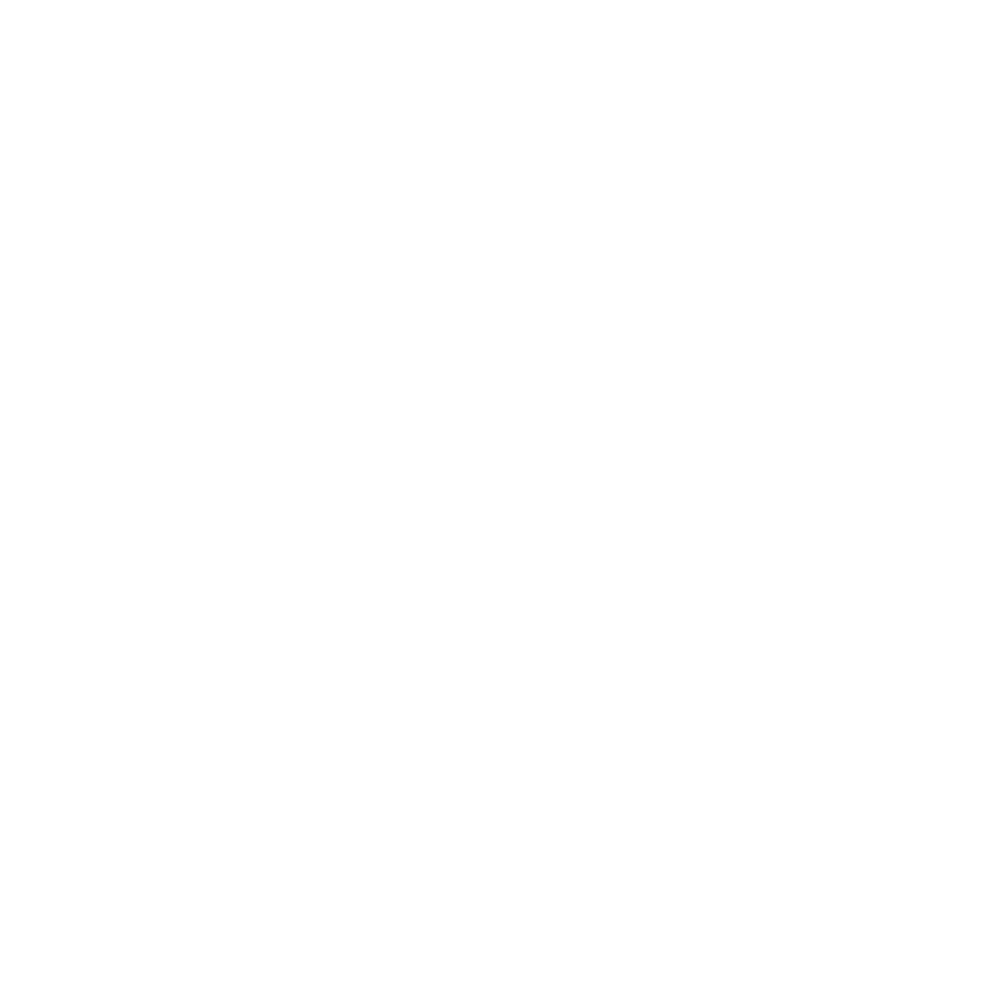 icona privacy euristica
