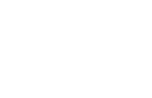 logo_icdl_bianco logo icdl